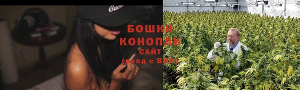 соль ск Ельня
