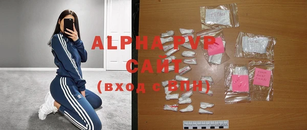 соль ск Ельня