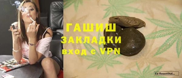 соль ск Ельня