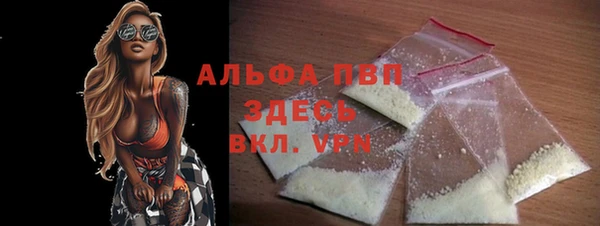 соль ск Ельня