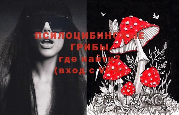 марки lsd Елабуга