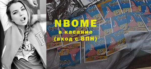 соль ск Ельня
