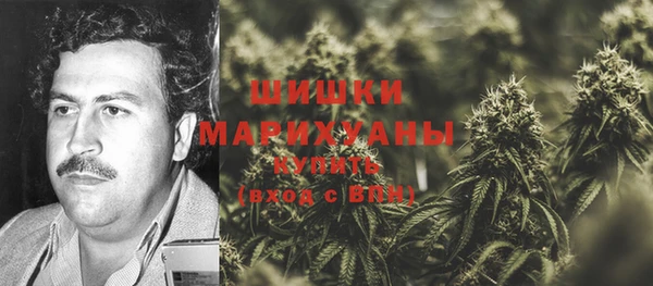 соль ск Ельня