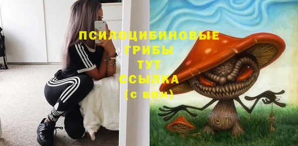 соль ск Ельня