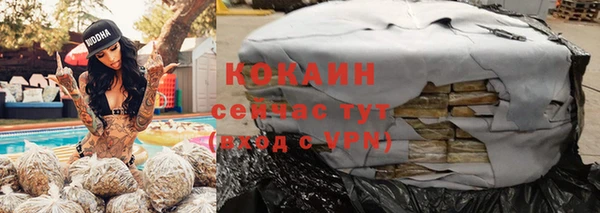 соль ск Ельня