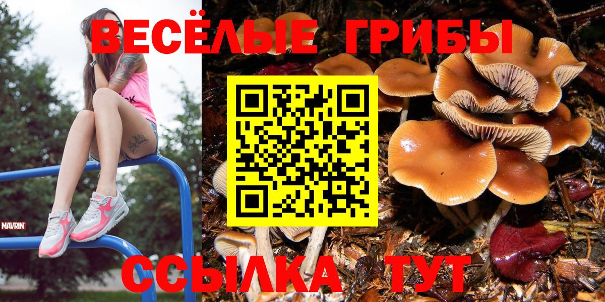 Радужный  цены   Вход с VPN  Галлюциногенные грибы GOLDEN TEACHER 